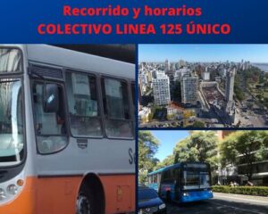 COLECTIVO LINEA 125 ÚNICO