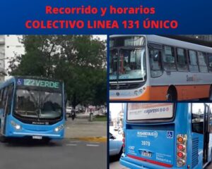 COLECTIVO LINEA 131 ÚNICO