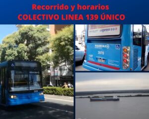 COLECTIVO LINEA 139 ÚNICO