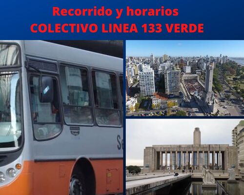 COLECTIVO LINEA 133 VERDE