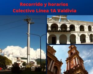 Colectivo Línea 1A Valdivia