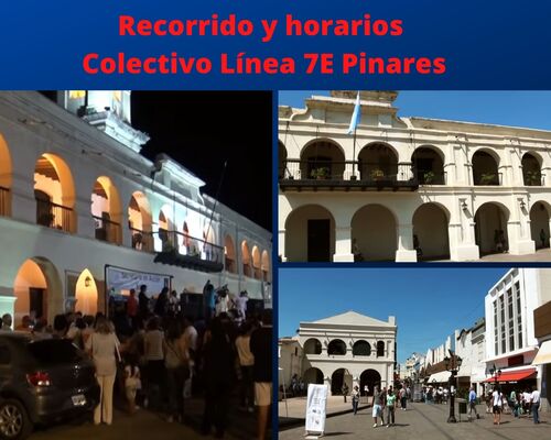 Colectivo Línea 7E Pinares