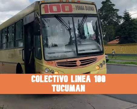 Tucumán Colectivo Línea 100