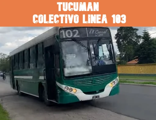 Tucumán Colectivo Línea 103