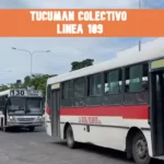Tucumán Colectivo Línea 109