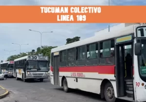 Tucumán Colectivo Línea 109