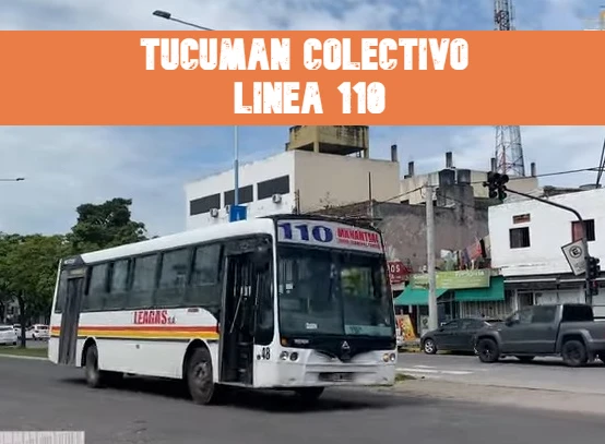 Tucumán Colectivo Línea 110