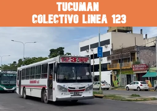 Tucumán Colectivo Línea 123