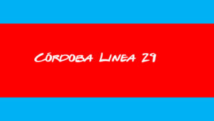 Córdoba Colectivo Línea 29