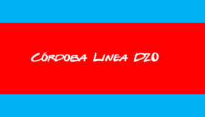 Córdoba Colectivo Línea D20